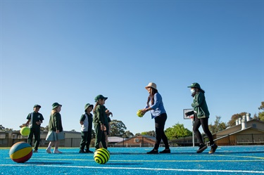 Colyton outdoor basketball court