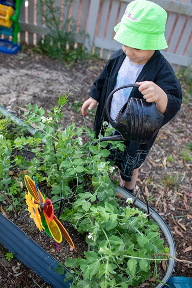 gardening and sustainability