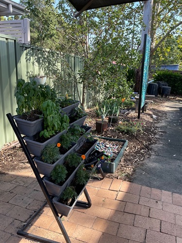 Sensory-garden.jpg