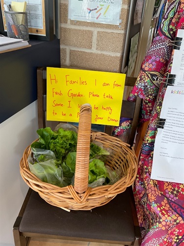 Garden-donation.jpg