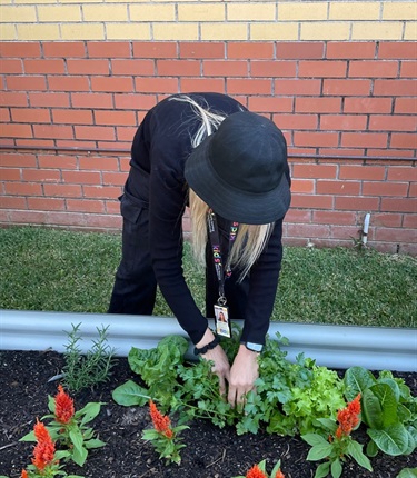 Garden-haul.jpg