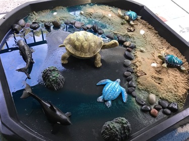 World-Turtle-Day.jpg