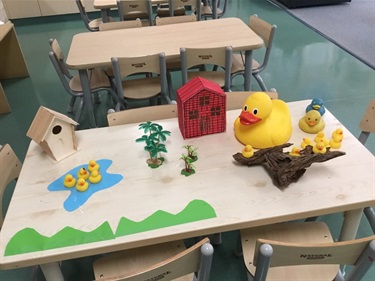 Animal-play.jpg