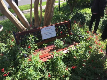 Quakers-Hill-community-garden-excursion.jpg
