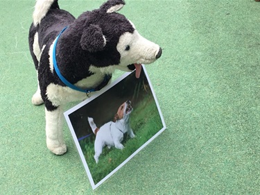 Pet-Safety-inservice.jpg