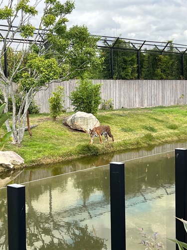 Featherdale-Zoo.jpg